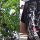Honor of Cerebral Ballzy climbs a tree/Kick-ass hand-painted wolf jacket. (Sally Ryan)